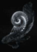 OS IN THE END Artwork by Neroh.jpg