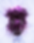 PNNZ By Neroh, 2024 Poster.png