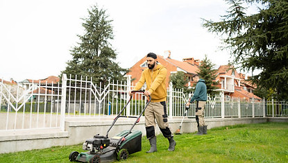 Lawn Services
