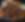 angry chicken_edited.png