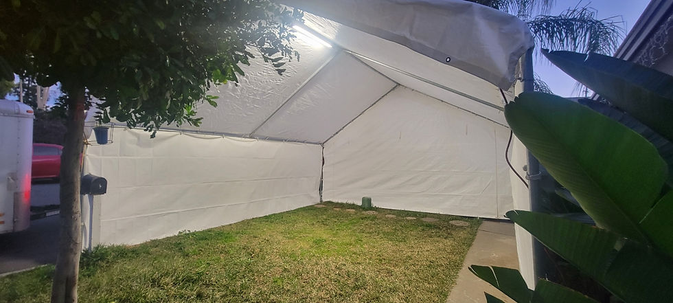 10" Tent