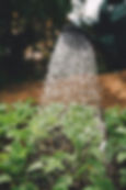 administration support for agritech startup