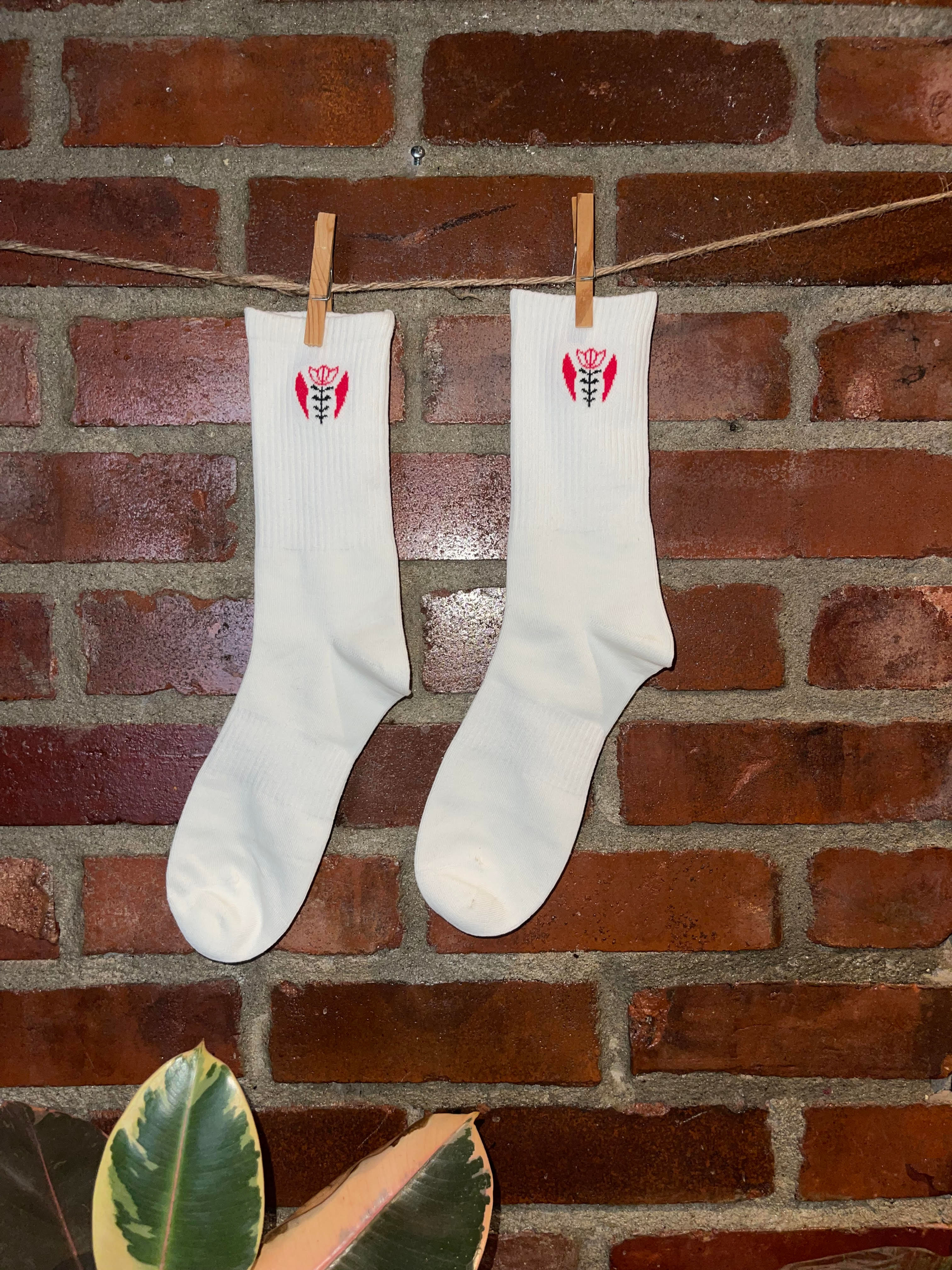 Front view of 'Shaffé' motif socks hung on a wall, displaying vibrant illustrations of Lebanese coffee cups.
