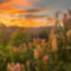 Sunset You Pick