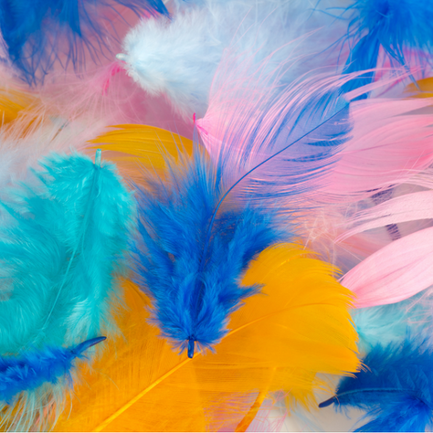 colorful feathers symbol of peace and high vibration emotions