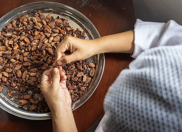 Gaia Cacao Source Premium Cacao Products Amsterdam