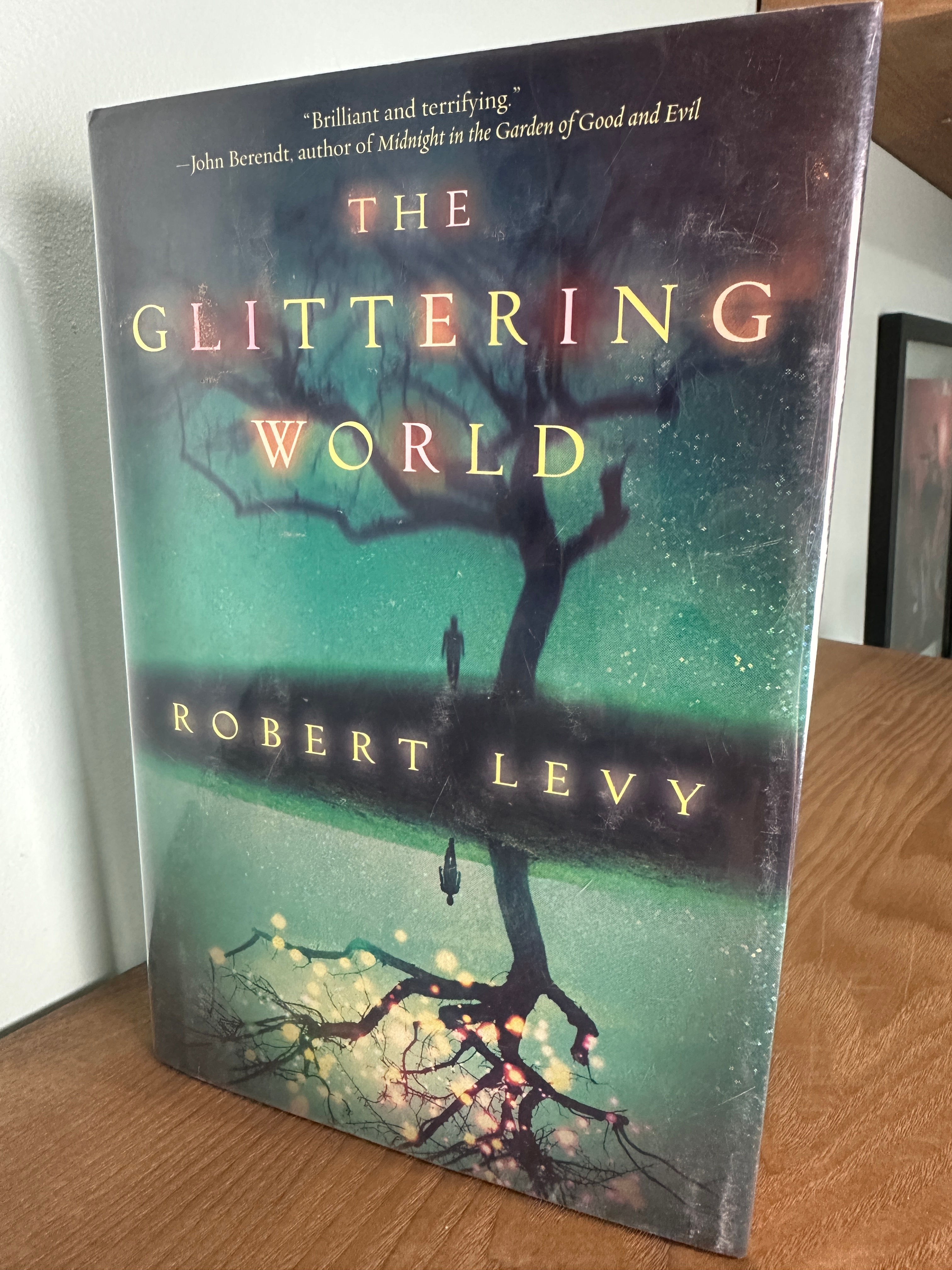 The Glittering World