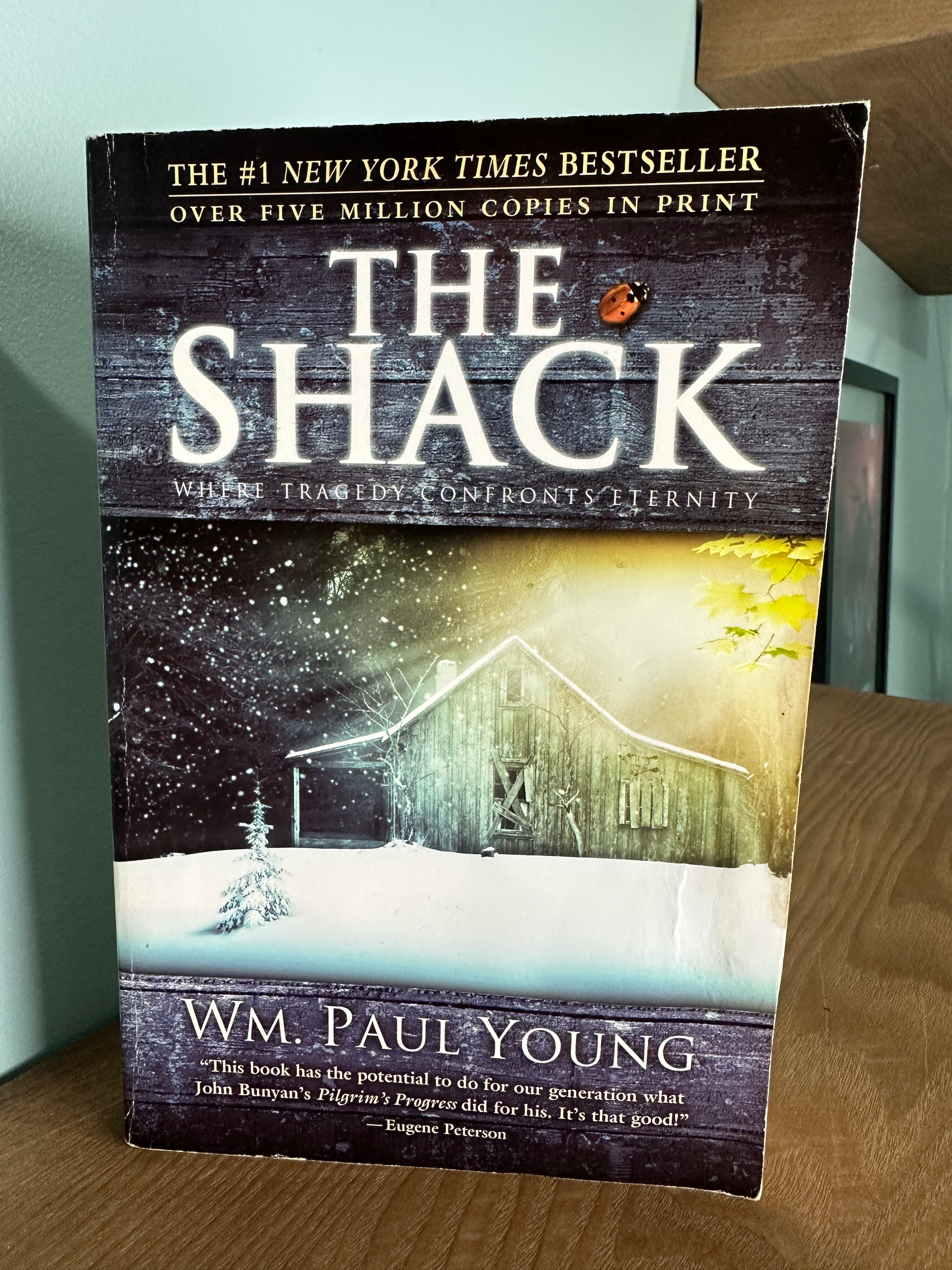 The Shack: Where Tragedy Confronts Eternity 
