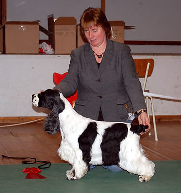 090307_bis.jpg