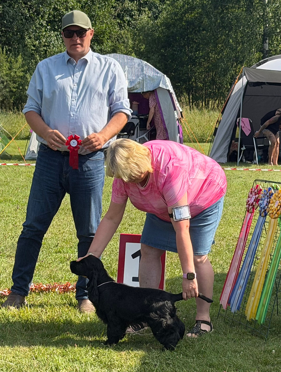 Kvällsutställning i Karlskoga!