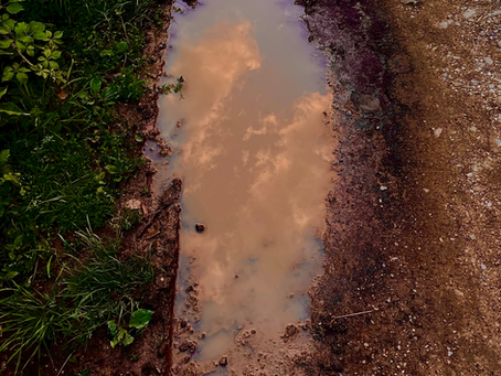 quite an urgent love letter to mud 💌