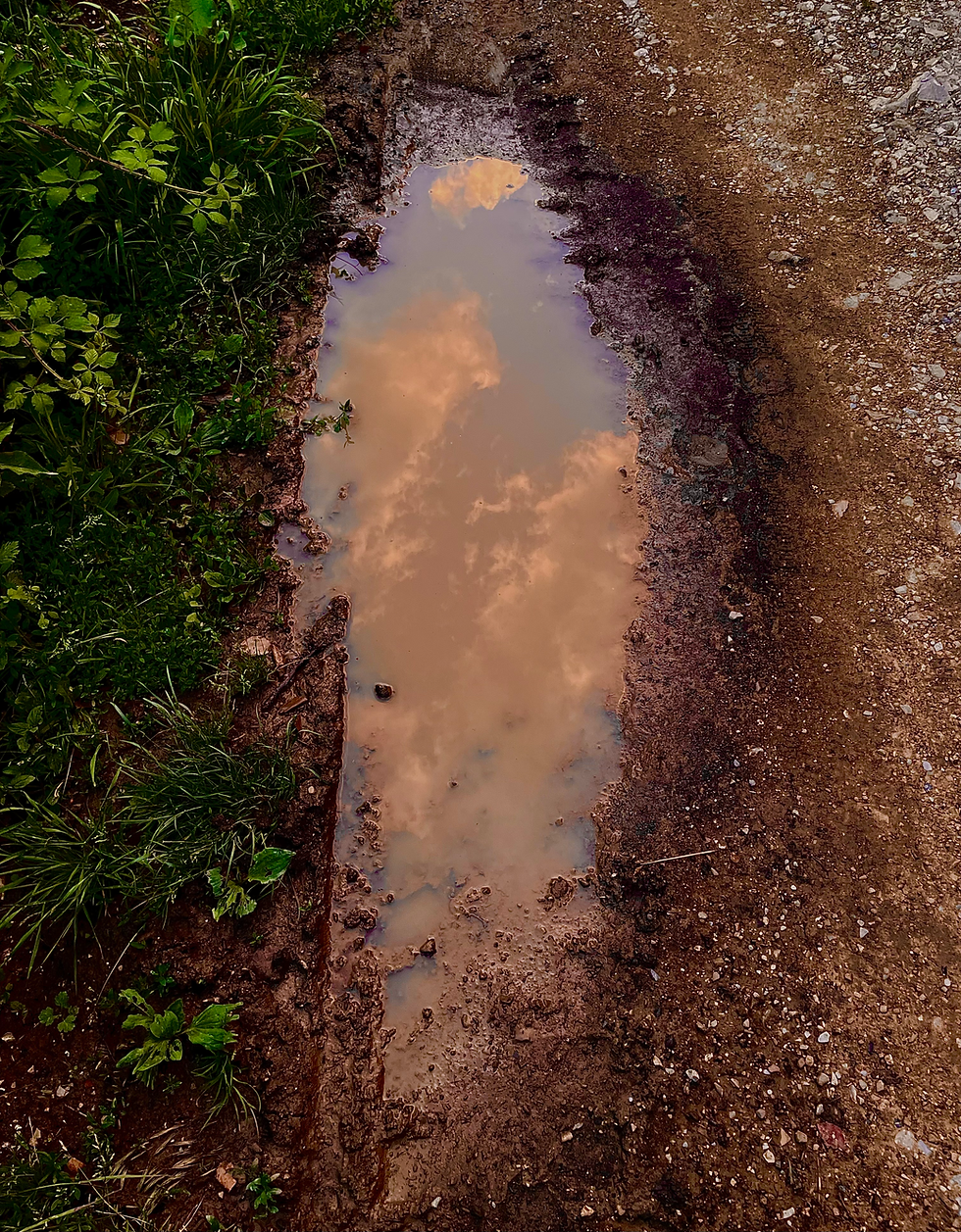 quite an urgent love letter to mud 💌
