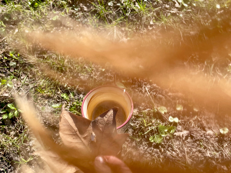 little thoughts to ponder on: eine Liebeserklärung an den Erdboden 💕