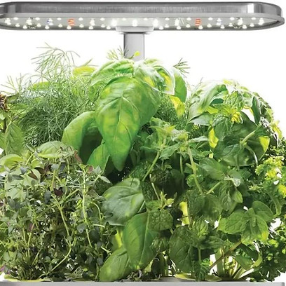 countertop system overgrown.jpeg