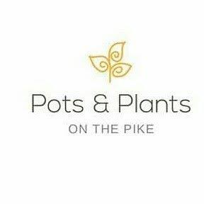 Grow Living Food with Pots-N-Plants