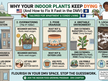 Why Your Indoor Plants Keep Dying in the DMV (And How to Fix It Fast)