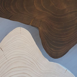 Hotels-Models14015 2_edit_new 2.jpg