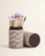 Pro Brush Set