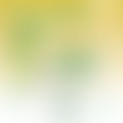 Pameran Kampung Hukum, Talkshow dan Aneka Lomba