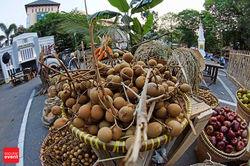 5000 Alumni UII Pulang Kampus 2015 (14).JPG