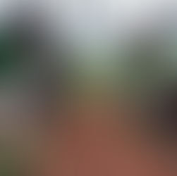 Berkebun, Menghijaukan Kota dan Sehatkan Tubuh Bersama LSPR 4C