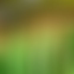 The Spectacular Chinese Acrobatic