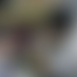 Blood4nation Social Community FE UI