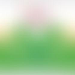 Health & Beauty Channel Presents Yoga Festival 2017!