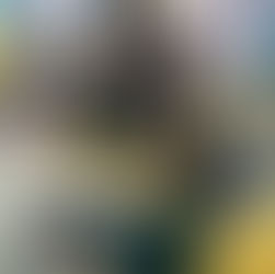 Kampung Main II MID Vokasi Universitas Indonesia