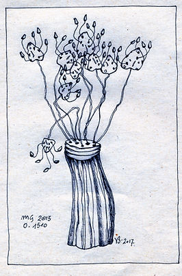 Végétaliser le monde Plantes Musée