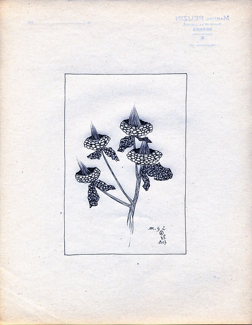 MG - 2-6 Encre (10X15cm) 2017