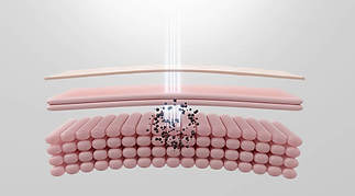 Screenshot 2026-01-12 15.54.33.png