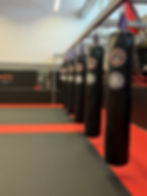 David Gym Dojo