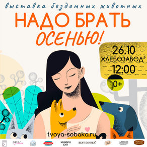 Приходите на НадоБратьОсенью2025!