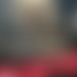 Снос приюта "Дубовая Роща"