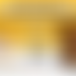 фестиваль "Собаки, которые любят... и котики!"