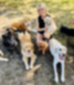 Image of Abby Lett, dog trainer with a happy group of dogs