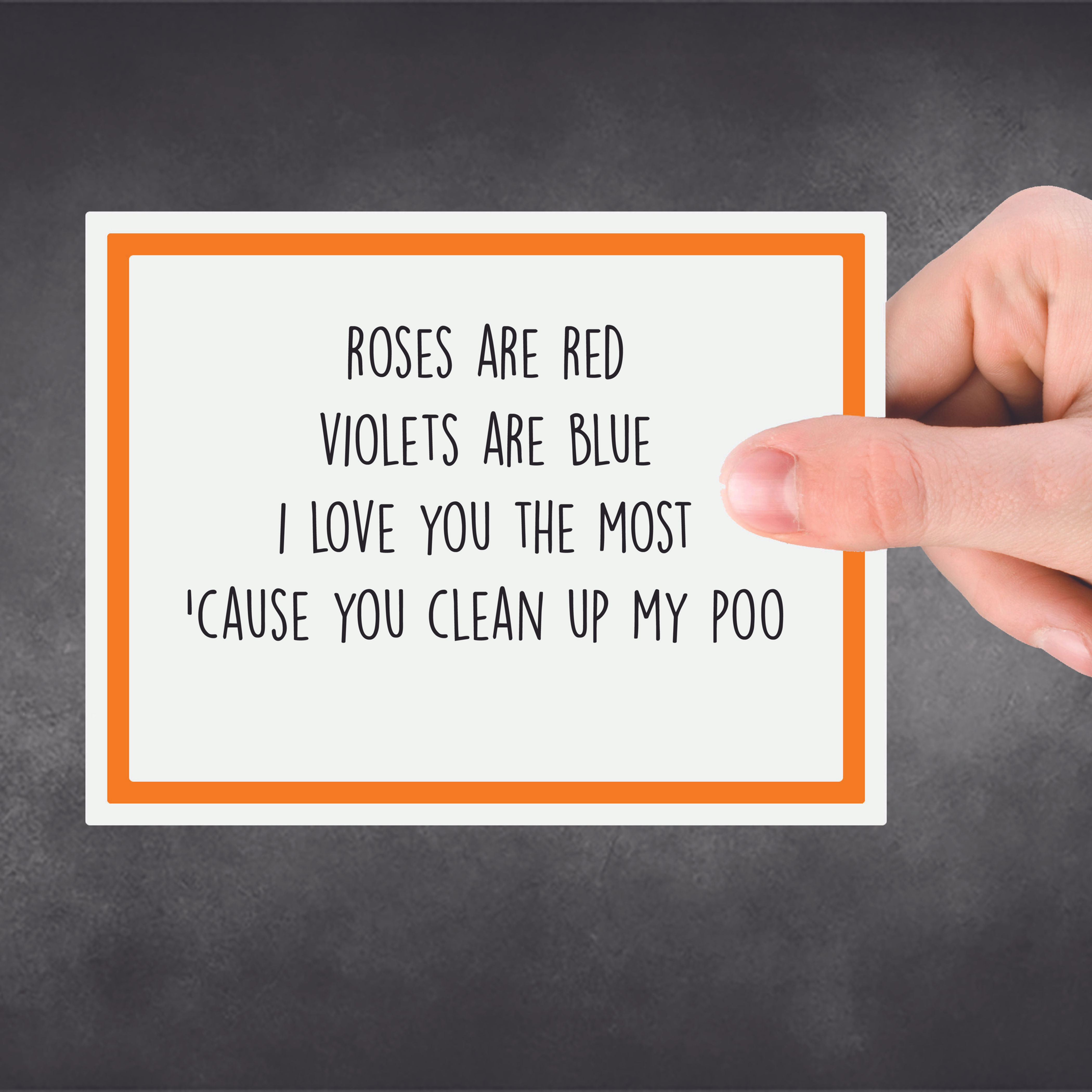 Pet's - Clean Up Poo