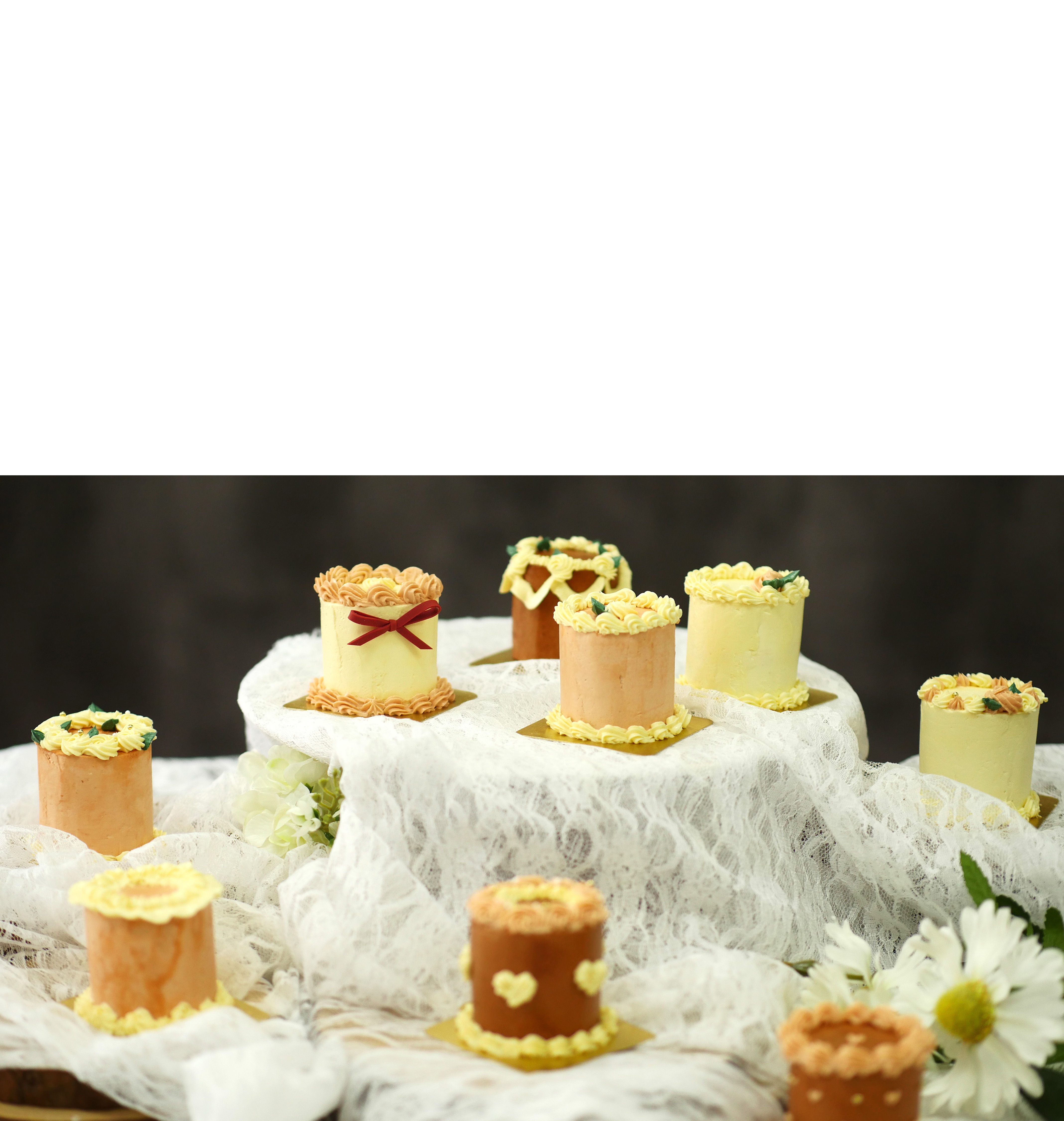 Petite Cake Collection