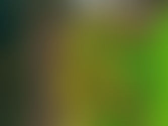 Yukon-Kuskokwim Renkli Geçişte