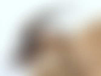 Eleonora'nın Şahini