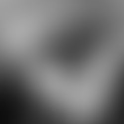 Laika Uzaya Çıkan İlk Hayvandı