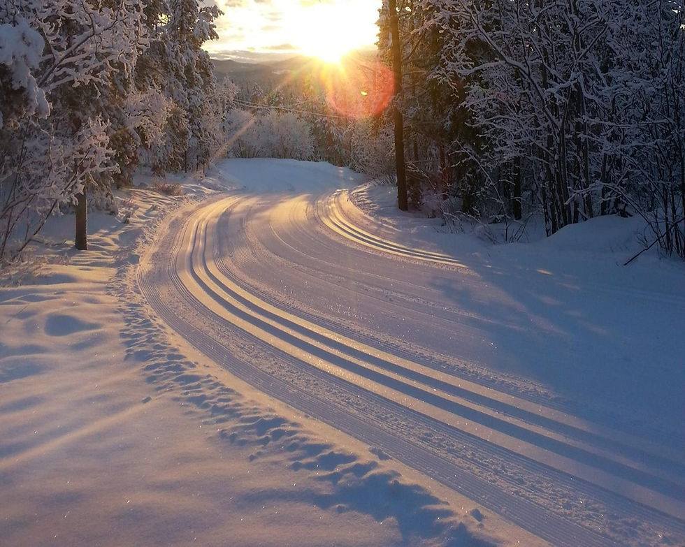 Whitehorse Nordic Centre