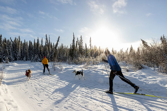 Whitehorse-Nordic-xcski-MuellerF2025 (4).jpg