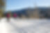 Whitehorse-Nordic-Centre2026.jpg