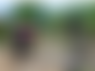 En Sabanamar y Genovés llegó el programa ‘‘Mariño Verde’