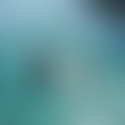 5 Awesome Photos From My Summer Holiday