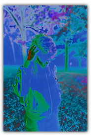 Untitled_Artwork 12.png