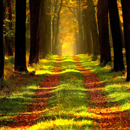 Why it's important to experience & understand our own spiritual journey