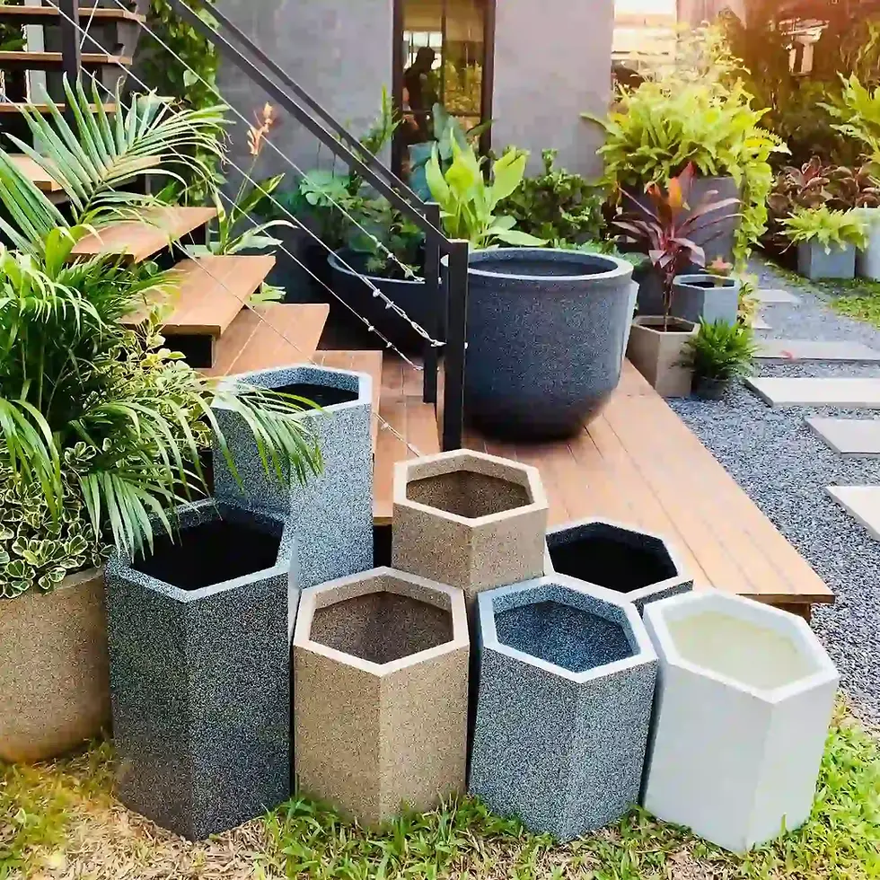 ภาพขนาดย่อ: กระถาง 6 เหลี่ยม